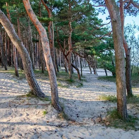 Luxury In Pinewood 3min Walk To Sea *