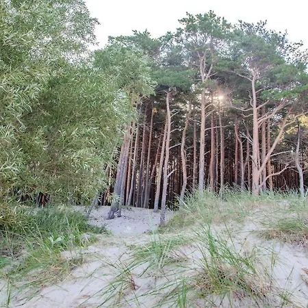 아파트 Luxury In Pinewood 3min Walk To Sea