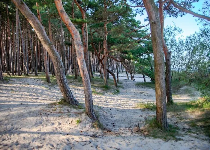 Luxury In Pinewood 3min Walk To Sea *