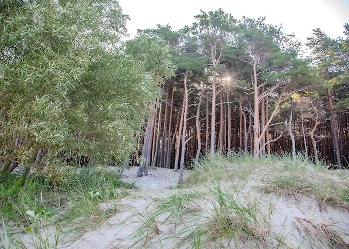 아파트 Luxury In Pinewood 3min Walk To Sea